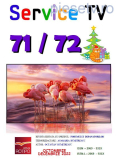                SERVICE TV - Nr 71 / 72 - octombrie ~ decembrie 2022